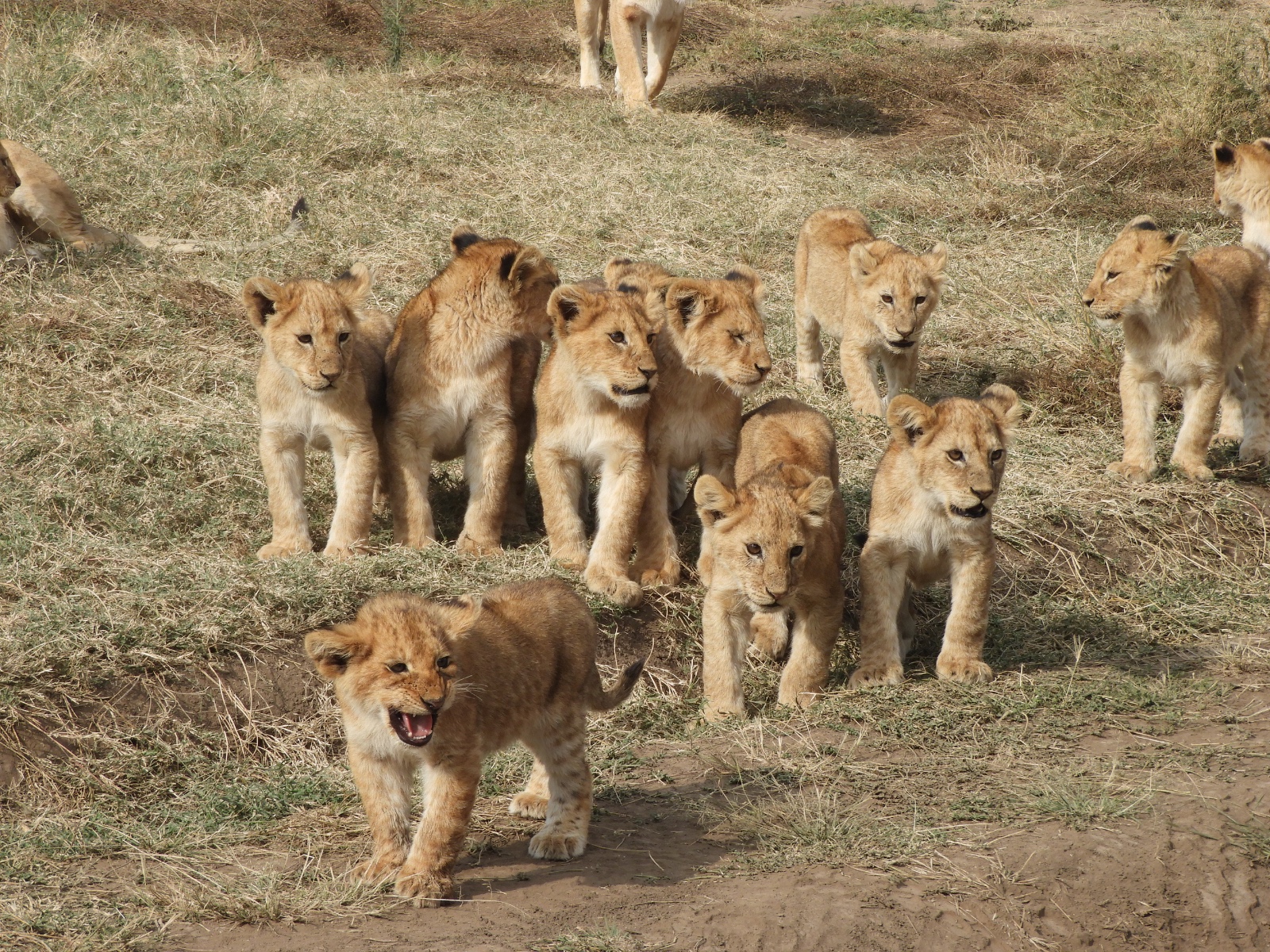 img 20260602 wa0011.jpg