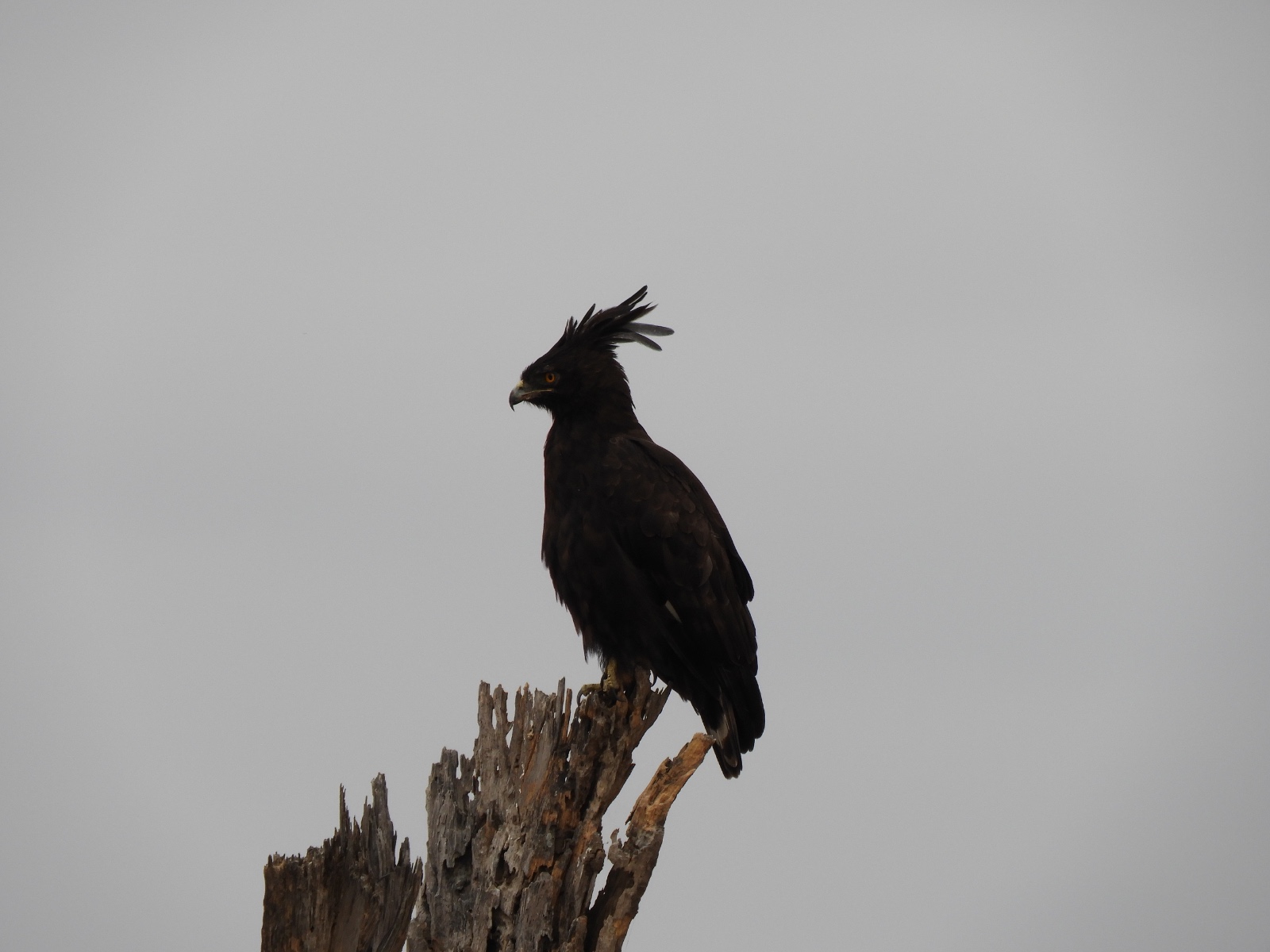 img 20260602 wa0022.jpg